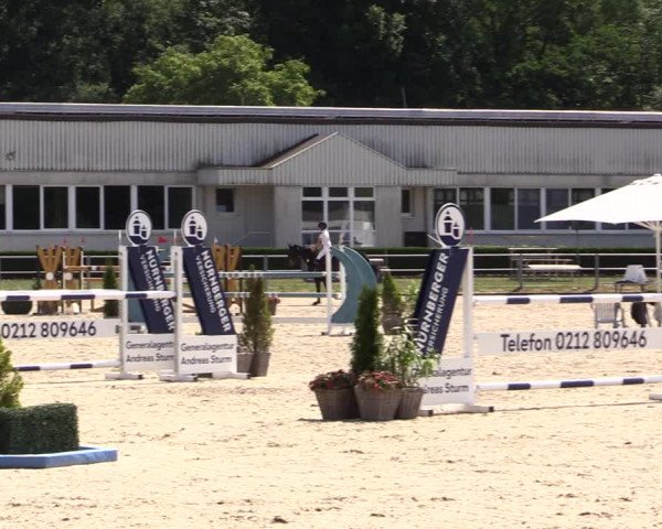 Reitturnier Langenfeld - Gut Langfort 2022