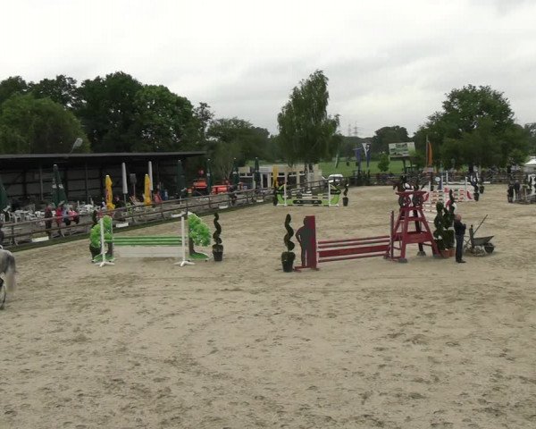 Reitturnier Kirchhellen/Stall Dieckmann 2022