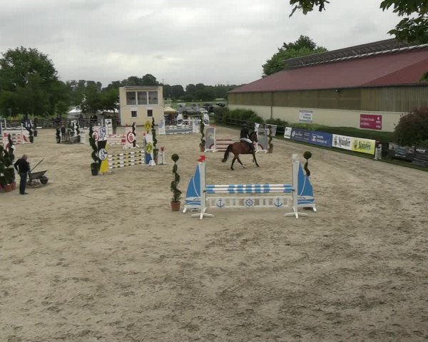 Reitturnier Kirchhellen/Stall Dieckmann 2022