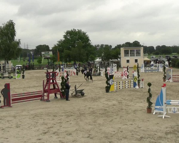 Reitturnier Kirchhellen/Stall Dieckmann 2022