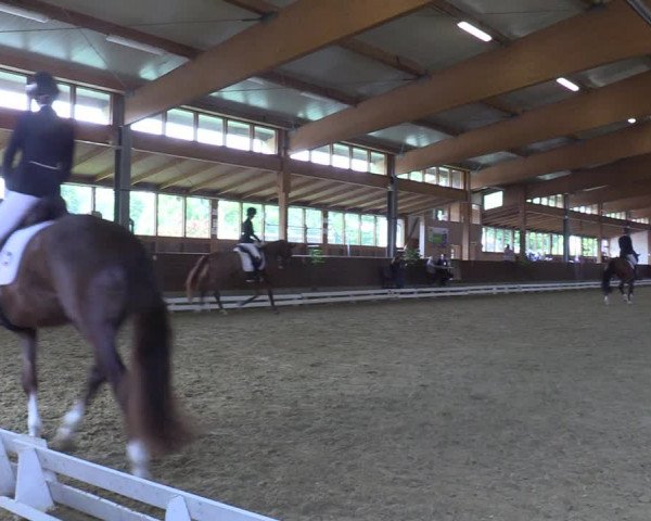 Reitturnier Coesfeld/Lette 2022