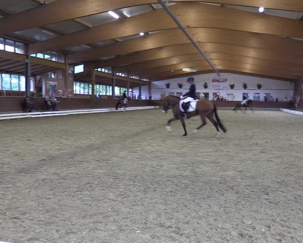 Reitturnier Coesfeld/Lette 2022