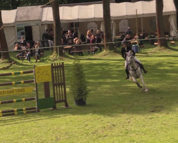 Reitturnier Helmsdorf 2022