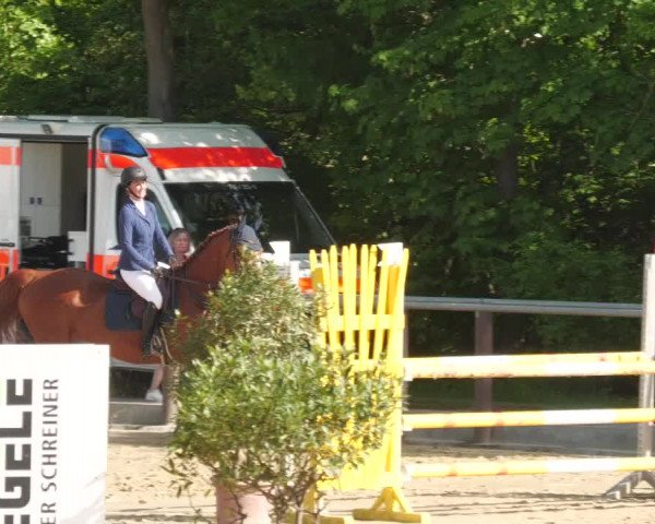 Reitturnier Winnenden 2022
