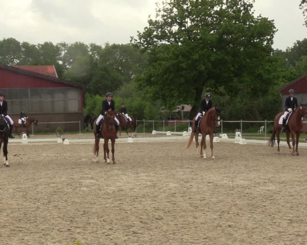 Reitturnier Nienberge-Schonebeck, Reitanlage Geßmann 2022