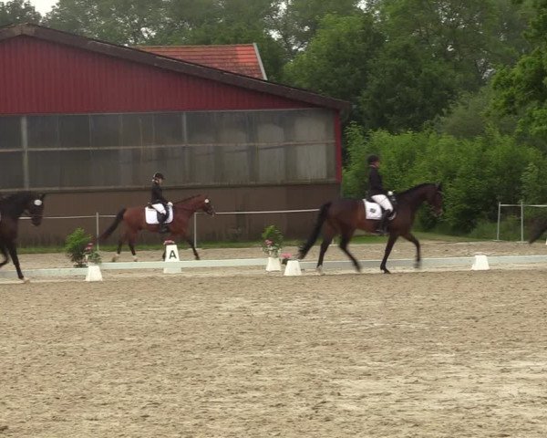 Reitturnier Nienberge-Schonebeck, Reitanlage Geßmann 2022