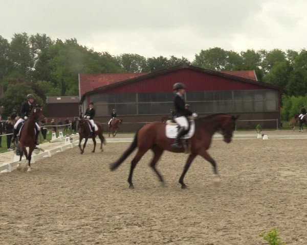 Reitturnier Nienberge-Schonebeck, Reitanlage Geßmann 2022