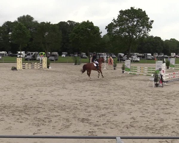 Reitturnier Nienberge-Schonebeck, Reitanlage Geßmann 2022