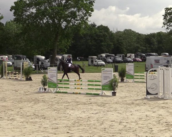 Reitturnier Nienberge-Schonebeck, Reitanlage Geßmann 2022