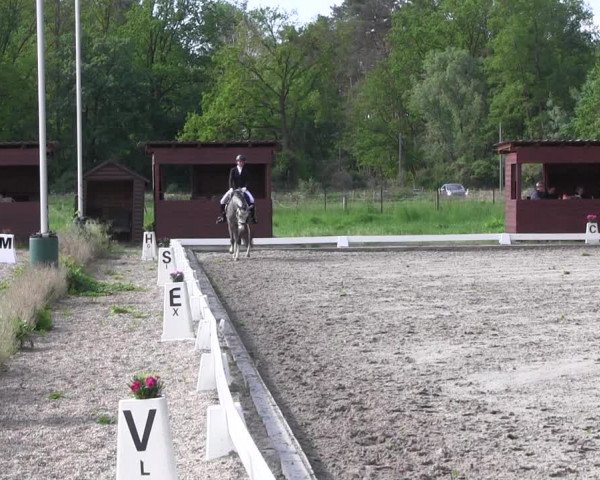 Reitturnier Schönwalde-Glien 2022