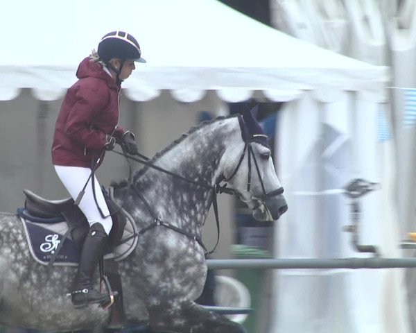 Reitturnier Neunkirchen-City 2021