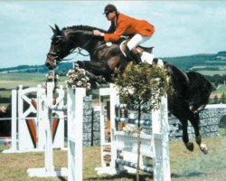 stallion Ragazzo (Bavarian, 1989, from Rasso)