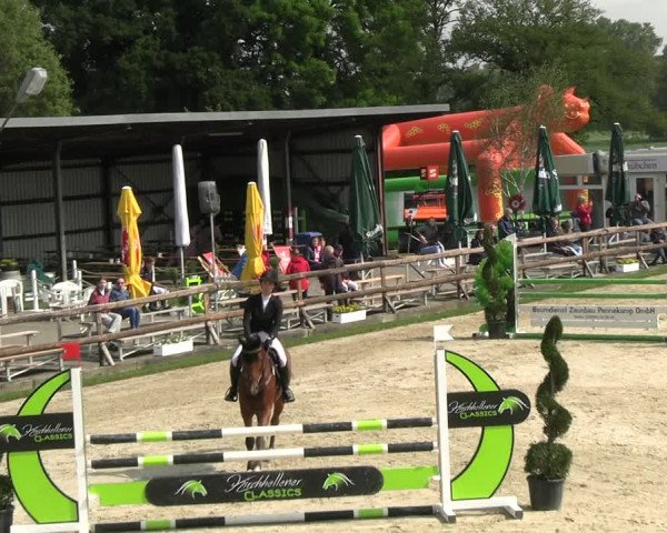 Reitturnier Kirchhellen/Stall Dieckmann 2022