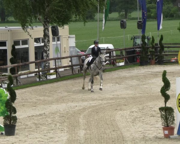 Reitturnier Kirchhellen/Stall Dieckmann 2022
