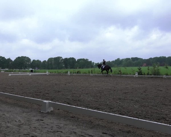 Reitturnier Alvern 2022