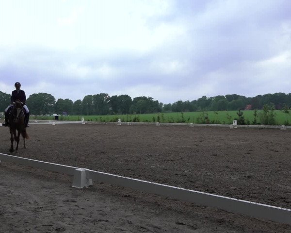 Reitturnier Alvern 2022