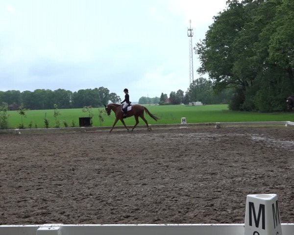 Reitturnier Alvern 2022