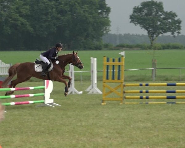 Reitturnier Alvern 2022