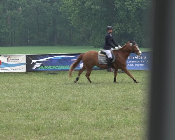 Reitturnier Alvern 2022
