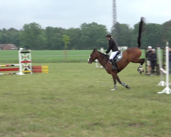 Reitturnier Alvern 2022