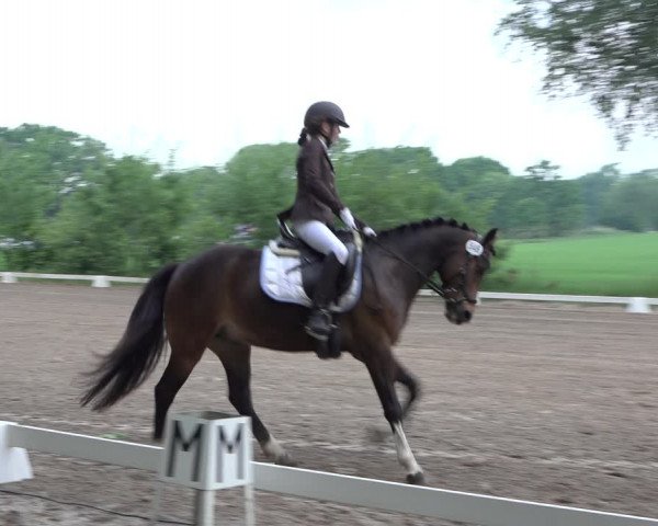 Reitturnier Alvern 2022