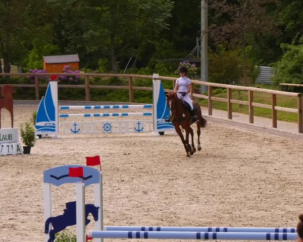 Reitturnier Ruhlsdorf 2022