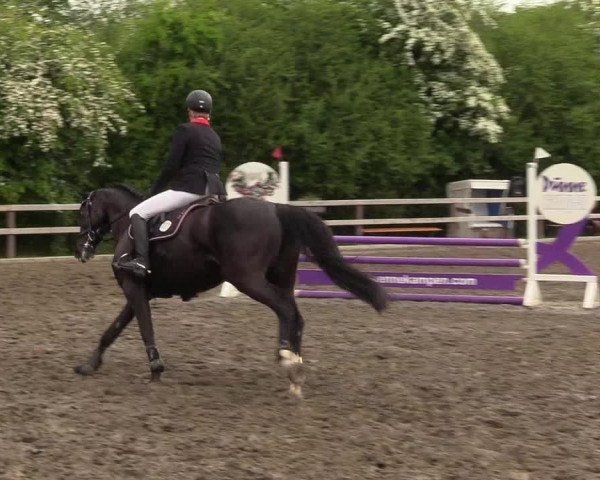 Reitturnier Kleinsolt 2022