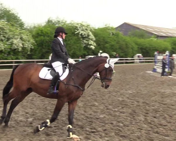 Reitturnier Kleinsolt 2022