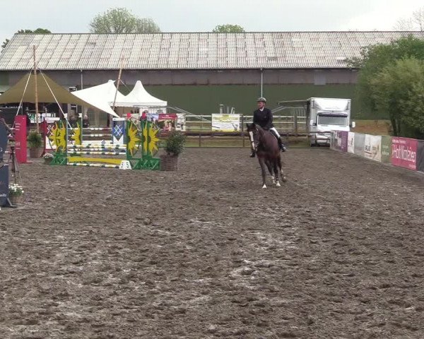 Reitturnier Kleinsolt 2022
