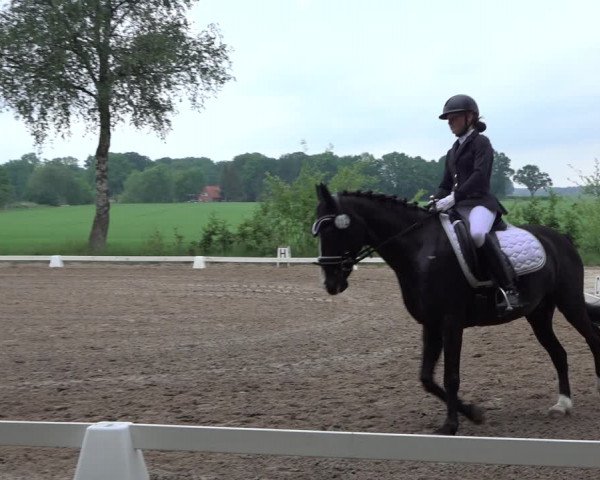 Reitturnier Alvern 2022