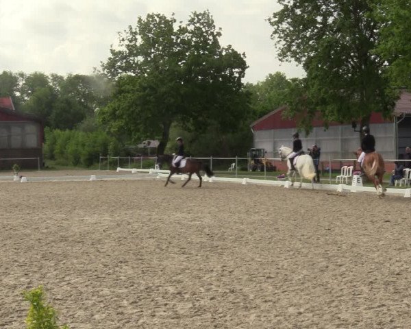Reitturnier Nienberge-Schonebeck, Reitanlage Geßmann 2022
