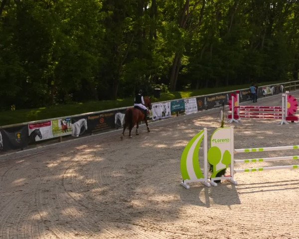 Reitturnier Ruhlsdorf 2022