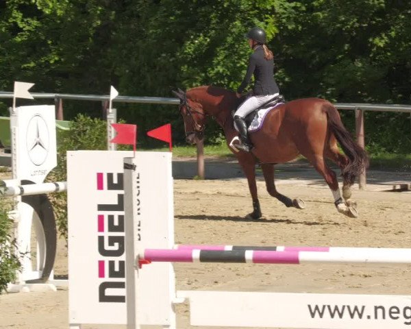 Reitturnier Winnenden 2022