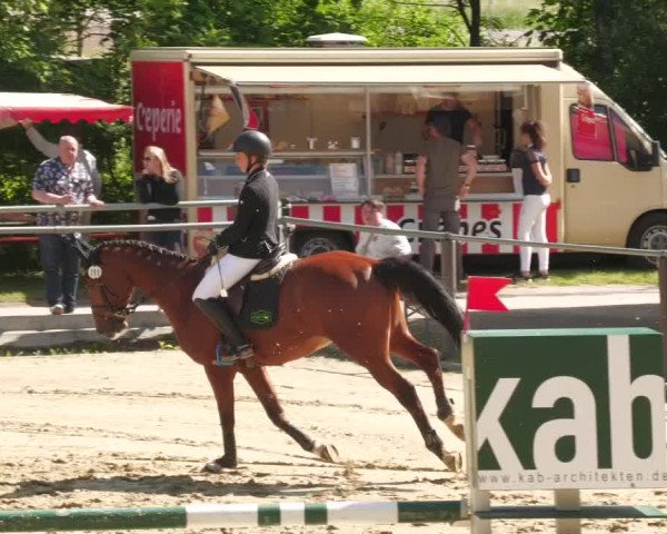 Reitturnier Winnenden 2022