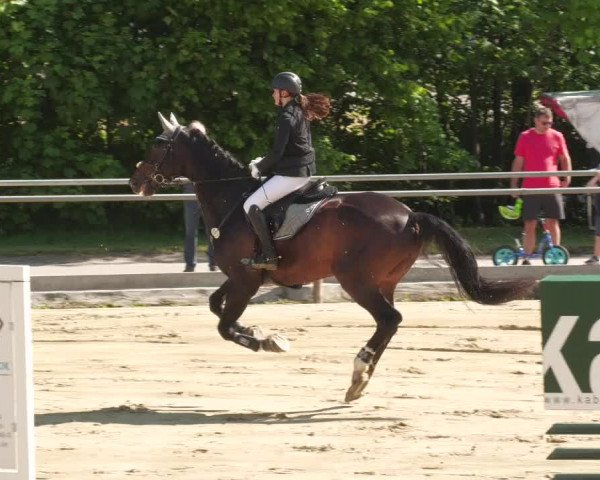 Reitturnier Winnenden 2022