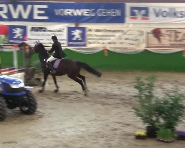 jumper Cordina 31 (Rhinelander, 2001, from Cordino)