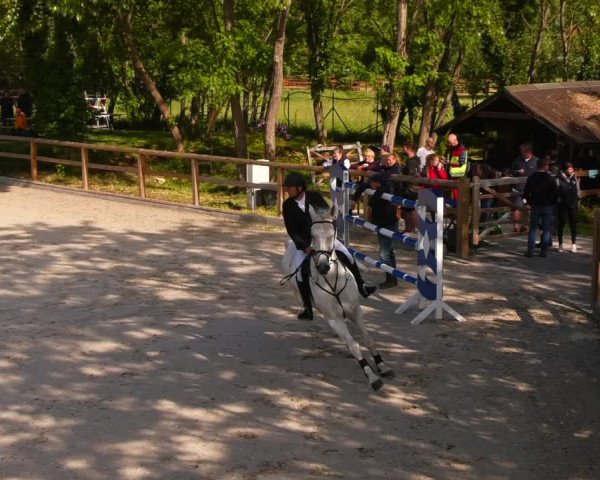 Reitturnier Ruhlsdorf 2022