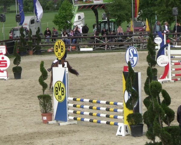 Reitturnier Kirchhellen/Stall Dieckmann 2022