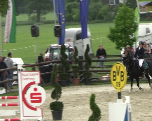 Reitturnier Kirchhellen/Stall Dieckmann 2022