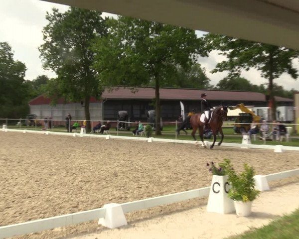 Reitturnier Nienberge-Schonebeck, Reitanlage Geßmann 2022