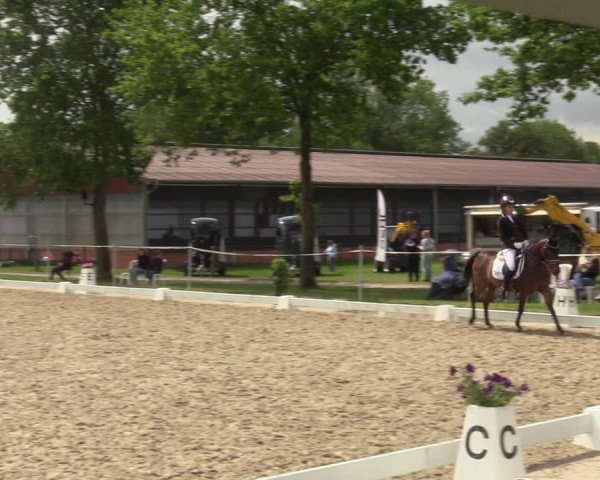 Reitturnier Nienberge-Schonebeck, Reitanlage Geßmann 2022