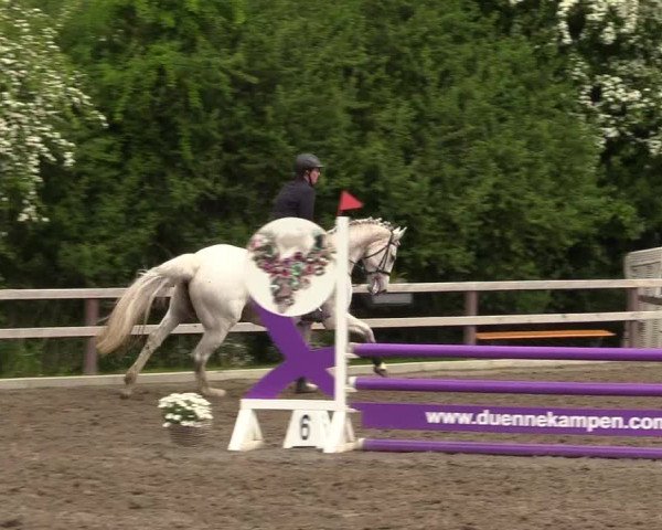 Reitturnier Kleinsolt 2022