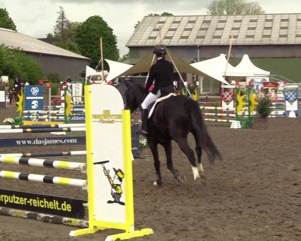 Reitturnier Kleinsolt 2022