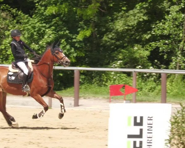 Reitturnier Winnenden 2022
