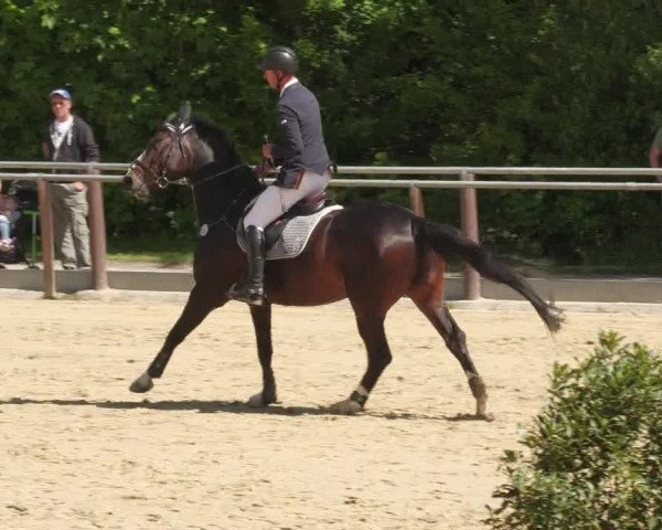 Reitturnier Winnenden 2022