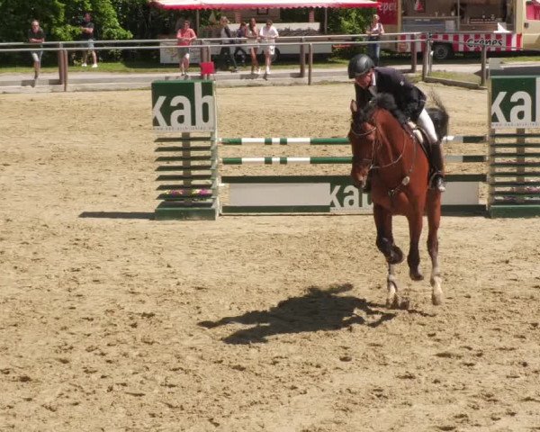 Reitturnier Winnenden 2022