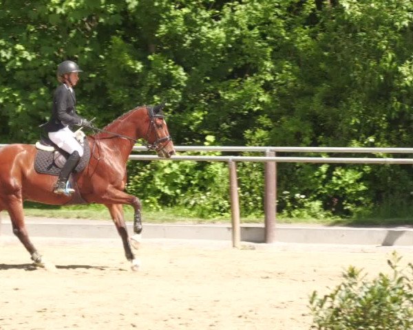 Reitturnier Winnenden 2022