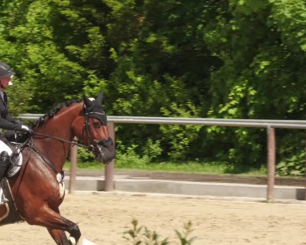 Reitturnier Winnenden 2022