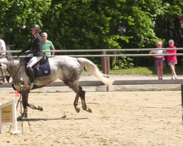 Reitturnier Winnenden 2022