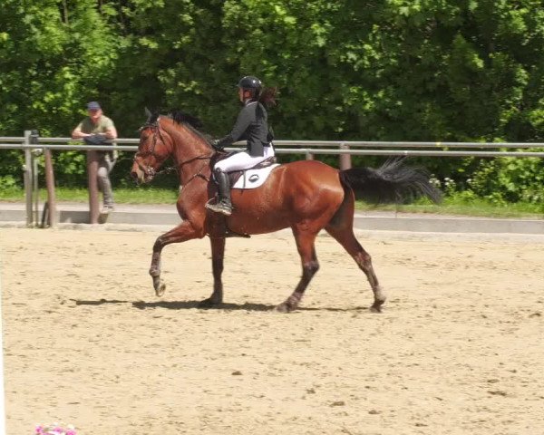 Reitturnier Winnenden 2022